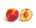 Nectarine Grecia 