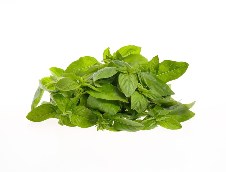 Busuioc Gradina lui Barbu 30g