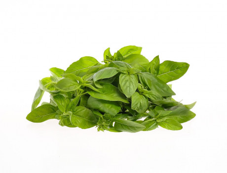 Busuioc Gradina lui Barbu 30g