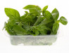 Busuioc Gradina lui Barbu 30g