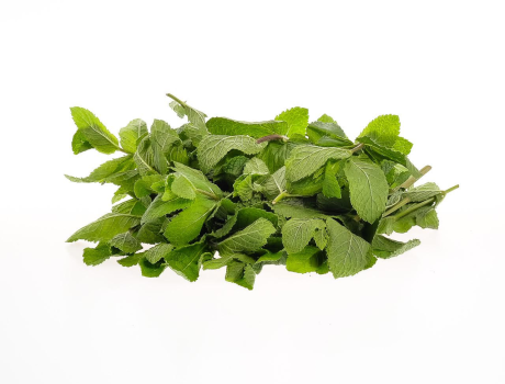 Menta Gradina lui Barbu 30g 