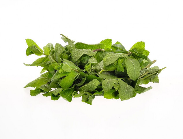 Menta Gradina lui Barbu 30g 