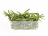 Rozmarin Gradina lui Barbu 30g