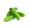 Castraveti cornichon Legume Fructe Martin