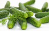 Castraveti cornichon Legume Fructe Martin