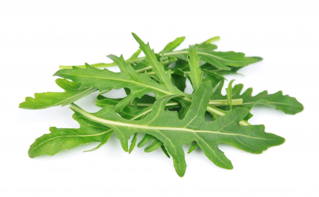 Rucola Grădina lui Barbu