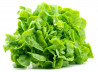 Salata verde Legume Fructe Martin