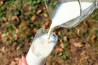 Lapte pasteurizat Ferma Ivascu 1L