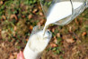 Lapte pasteurizat 3,5% Ferma Ivașcu