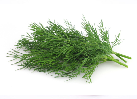 Marar Legume Fructe Martin