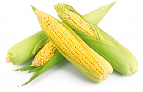 Porumb pentru fiert Legume Fructe Martin