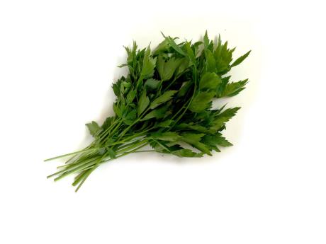 Leustean Legume Fructe Martin