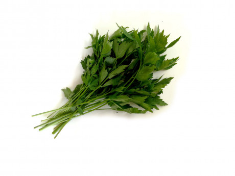 Leuștean Legume Fructe Martin