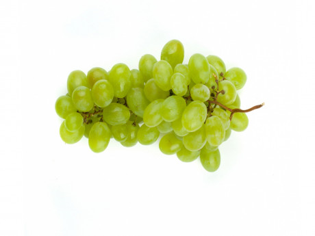 Struguri albi fără seminţe
