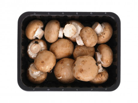 Ciuperci brune BIO