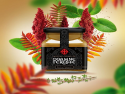 Mustar Crema Doamne Fereste - Editia Persana