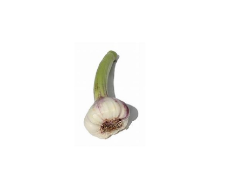Telina radacina Legume Fructe Martin