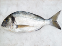 Dorada Pescaderia 4/6