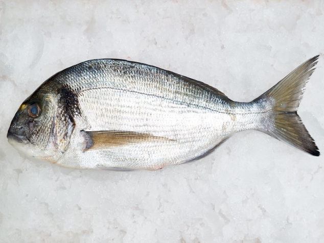 Dorada