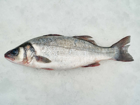 Biban de mare
