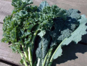 Kale Gradina lui Barbu 150g