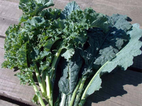 Kale Gradina lui Barbu