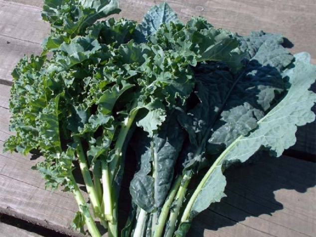 Kale Gradina lui Barbu