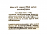 Biscuiti vegani fara zahar cu martipan LaBiscuterie