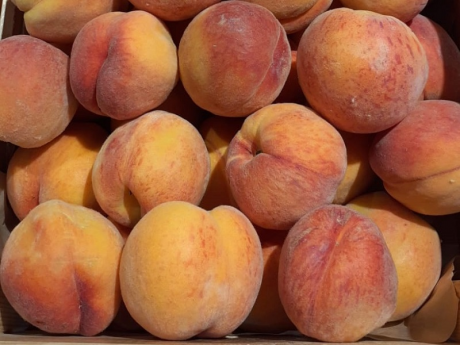 Piersici Legume Fructe Martin