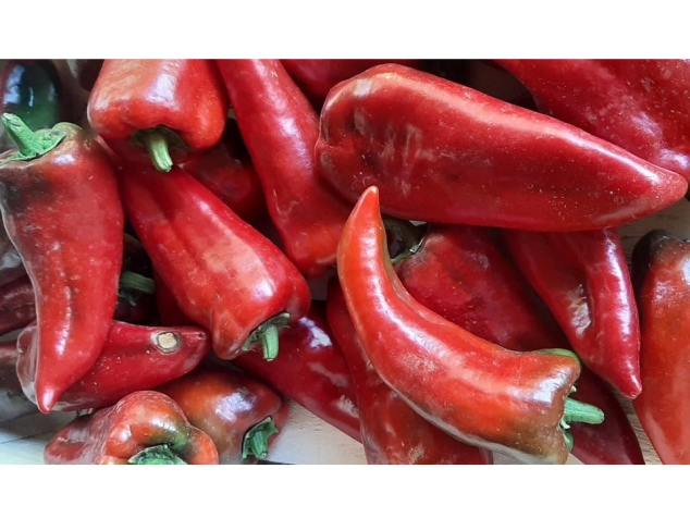 Ardei kapia Legume Fructe Martin