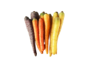 Morcovi Curcubeu ECO 500g Olanda