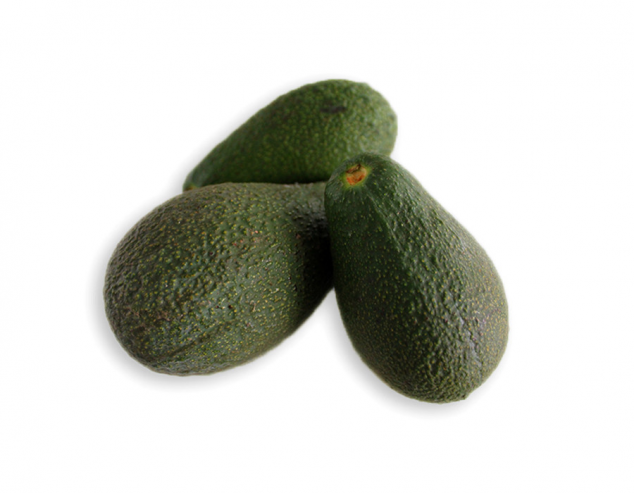 Avocado bio
