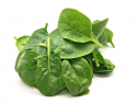 Salata Baby Spanac 100g 