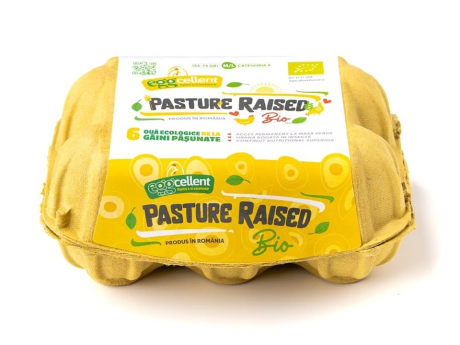 Oua Ecologice Pasture Raised 6 Bucati - Eggcelent