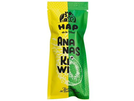 Baton raw vegan cu afine si mure, 45 g, HAP de la Vlad
