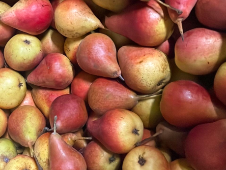 Bio Pere 500g