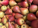 Bio Pere 500g