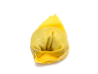 Tortelli ricotta e spinaci proaspete