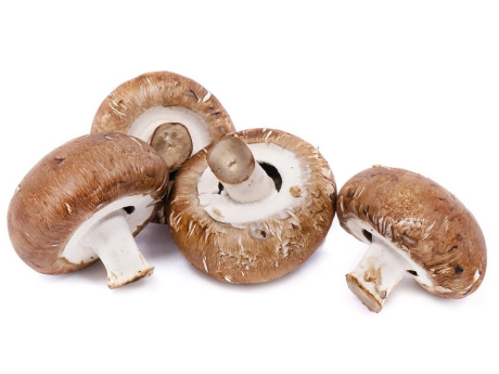 Ciuperci brune Eco