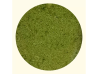 Colecţia Pesto de busuioc alla Genovesse - Gourm
