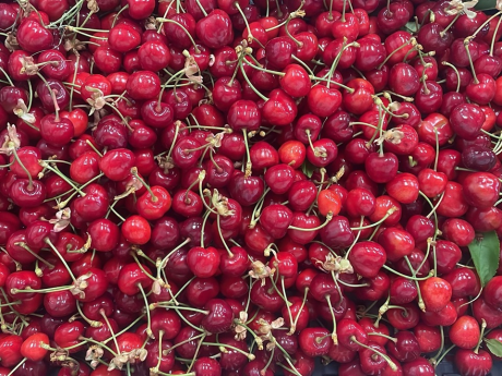 Cireșe Bio Caserolă 500g - Livada cu Cireșe Bio