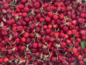 Cireșe Bio Caserolă 500g - Livada cu Cireșe Bio