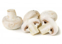 Ciuperci champignon