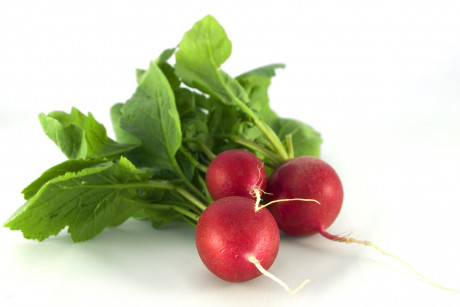 Ridichi Legume Fructe Martin