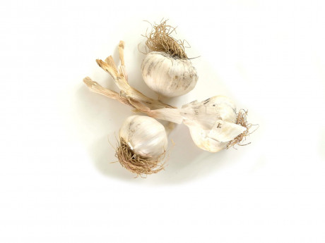 Usturoi uscat Legume Fructe Martin