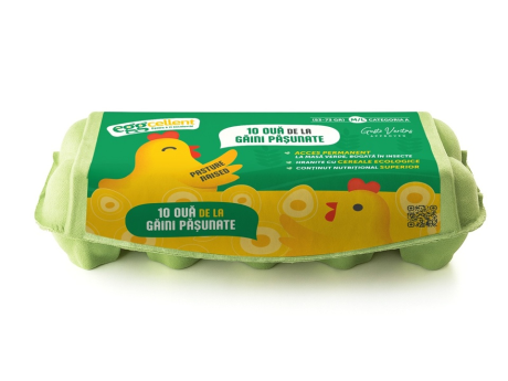 Ouă de la Găini Păşunate 10 Bucăţi - Eggcelent