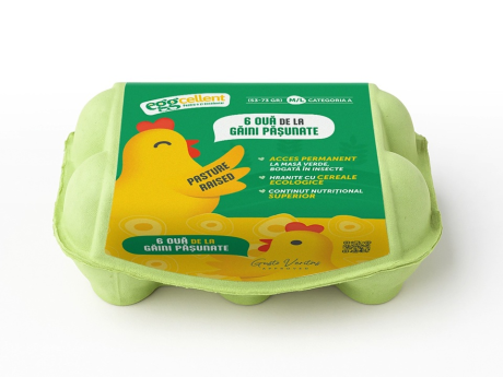 Ouă de la Găini Păşunate 6 Bucăţi - Eggcelent