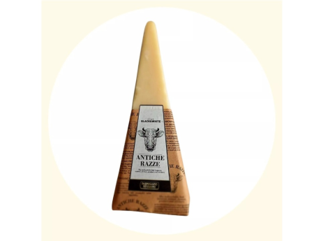 Parmigiano Reggiano DOP Vaci Friesian Maturat 24 luni - Gourm