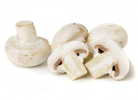 Ciuperci champignon 