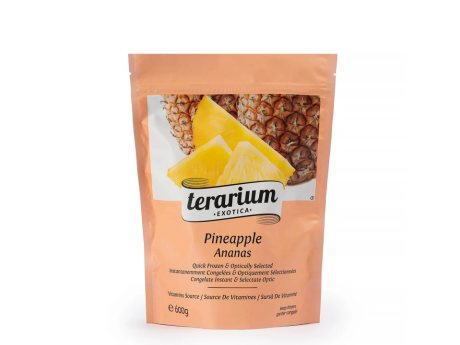 Ananas congelat - Terarium